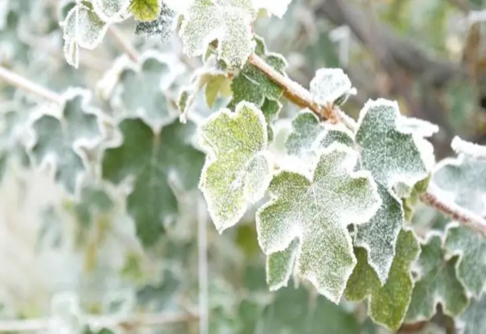 Prognoza meteo - Ger și ninsori slabe în mai multe regiuni