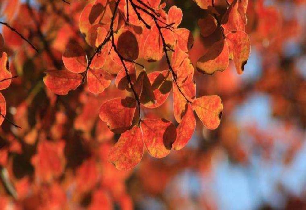 Prognoza meteo. Cum va fi vremea în weekend