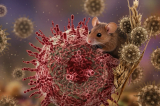 Încă un caz suspect :o femeie din Canada, testată pozitiv de HANTAVIRUS