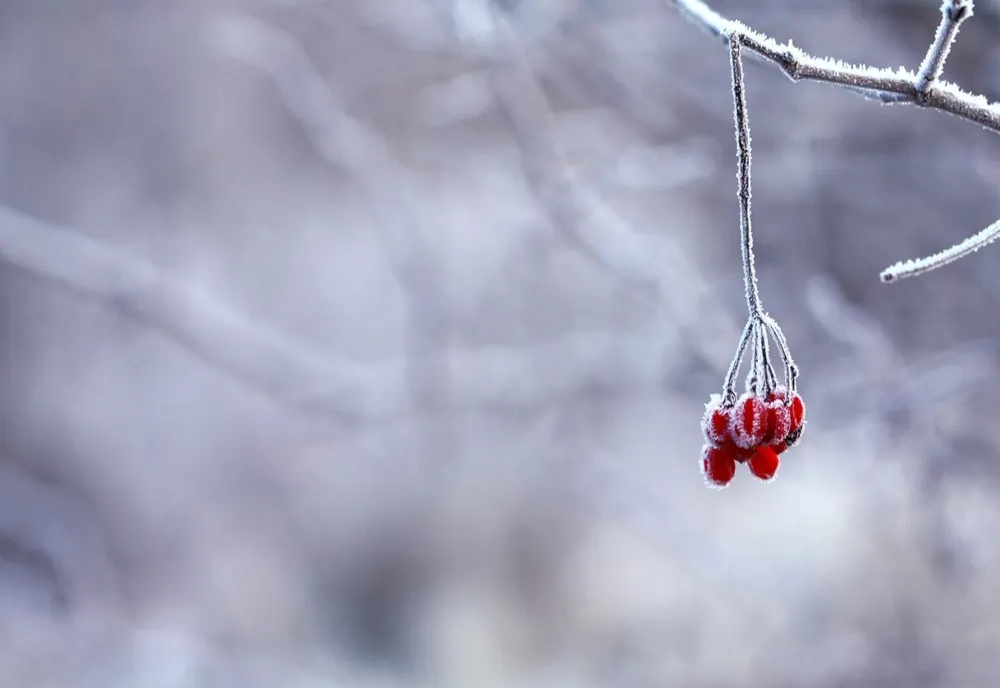 Prognoza meteo 31 decembrie. Temperaturi neobișnuite în toată țara: cum va fi vremea în noaptea dintre ani