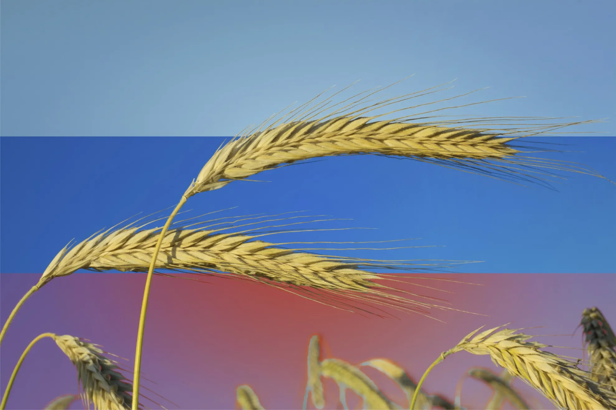 Export Rusia/ Profimedia 