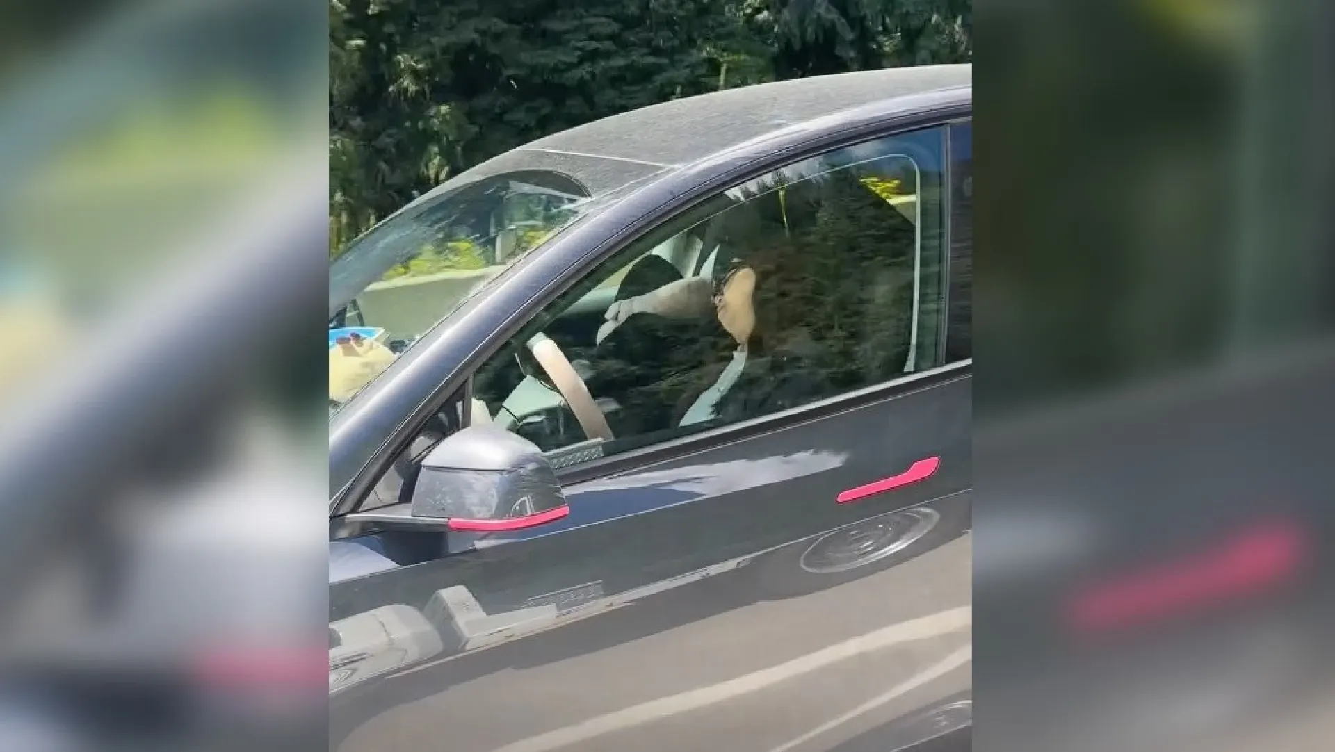 Șoferiță adormită 