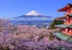 Japonia majorează taxele de viză pentru prima dată în aproape 50 de ani