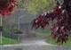 Alertă meteo: Cod galben de furtuni violente. Zonele lovite de vijelii puternice