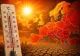 Europa se încălzește de două ori mai repede decât restul lumii. Motivul pentru care orașele europene sunt lovite de caniculă